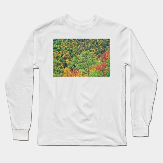 Autumn Forest Steestachee Bald Overlook Blue Ridge Parkway Long Sleeve T-Shirt by AinisticGina